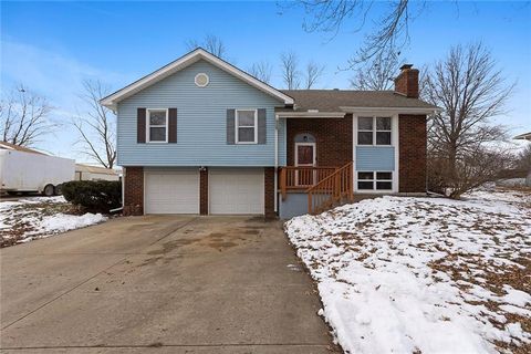 700 W McDowell Avenue, Odessa, MO 64076 - #: 2598643