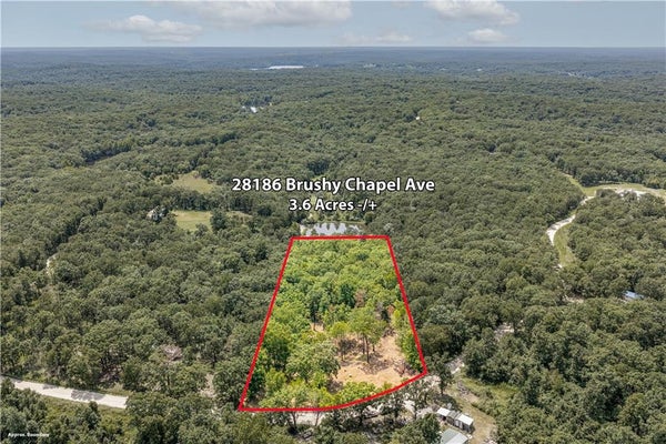 28186 BRUSHY CHAPEL AVE, LINCOLN, MO 65338 - Image 59e223065d4646dc860693800a8c5bb9/3742832182