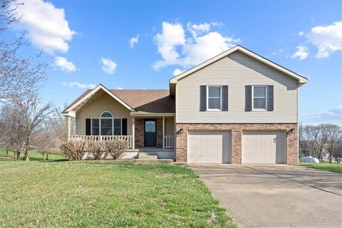 20 Pine View Road, Platte City, MO 64079 - #: 2541847