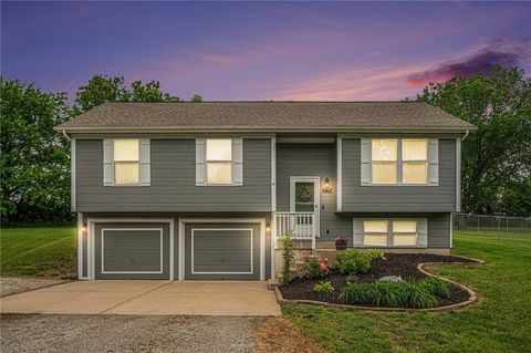 5862 SW Reed Lane Trimble MO 64492