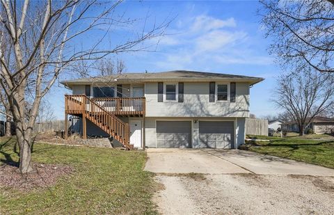271 NW 75 Road Centerview MO 64019