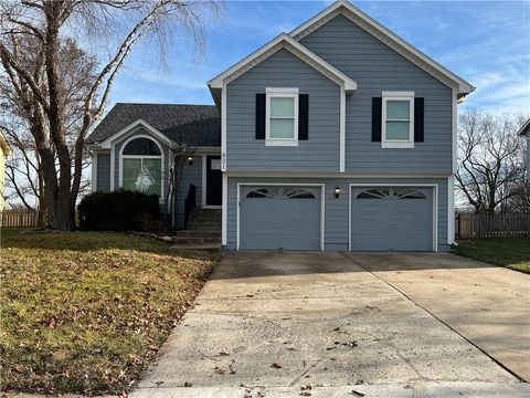 821 NE COLLEEN Drive Lee's Summit MO 64086