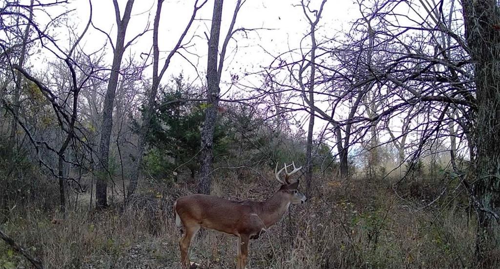 950A Delaware Terrace