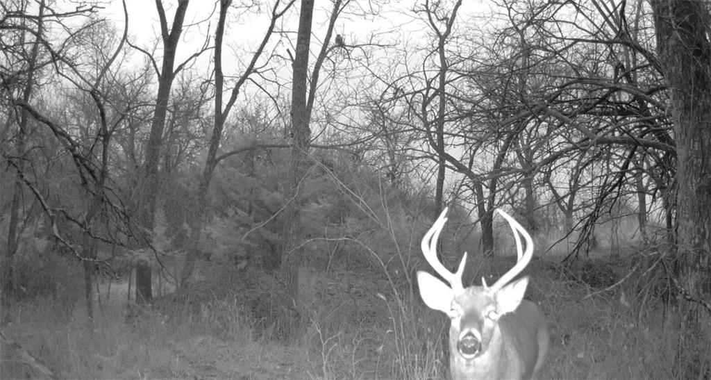 950A Delaware Terrace