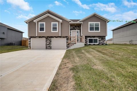 Photo of 611 Foxglove Lane, Raymore, MO 64083 (MLS # 2615674)