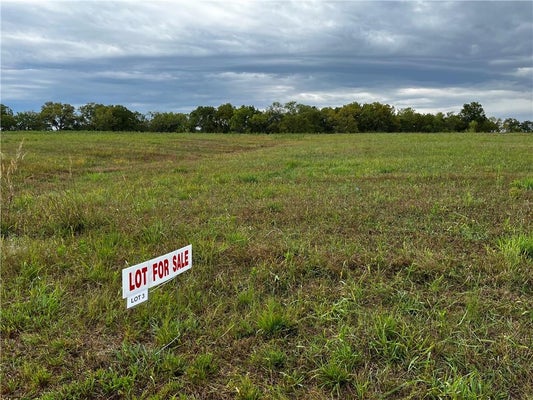 00002 FERGUSON ROAD, OZAWKIE, KS 66070 - Image 66e4e63fec68a97cfff02b4dc75b1dd1/3238043615