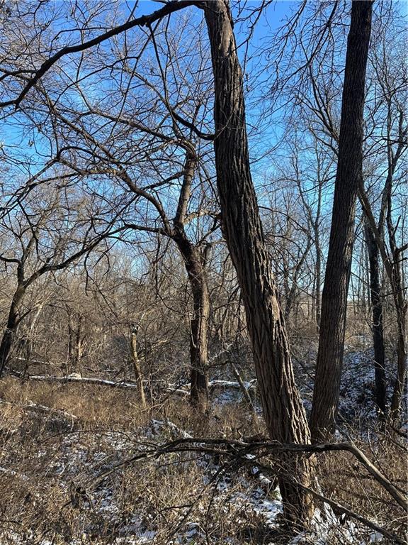 Helena, Missouri 64459, United States, ,Land,Active,254995