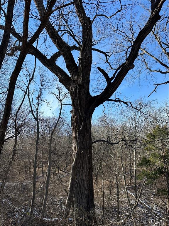 Helena, Missouri 64459, United States, ,Land,Active,254995