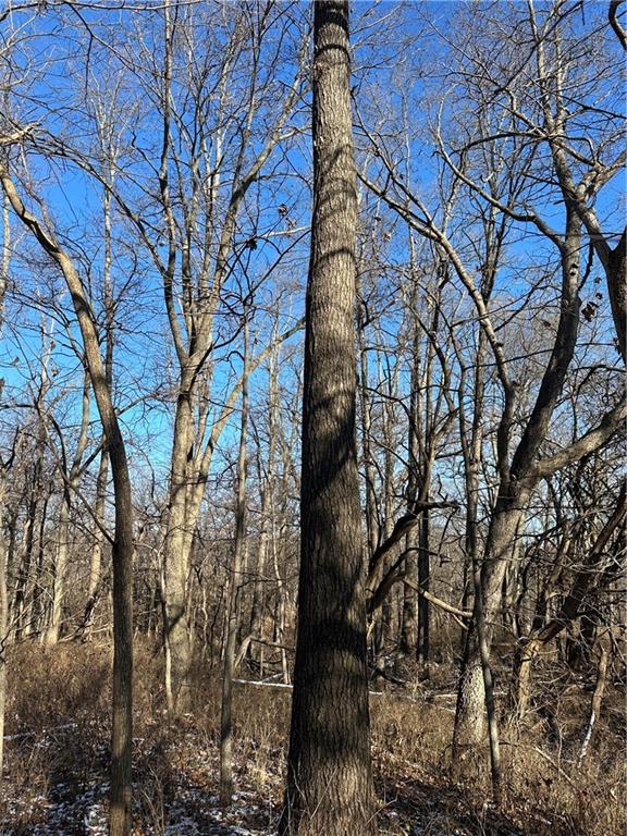 Helena, Missouri 64459, United States, ,Land,Active,254995