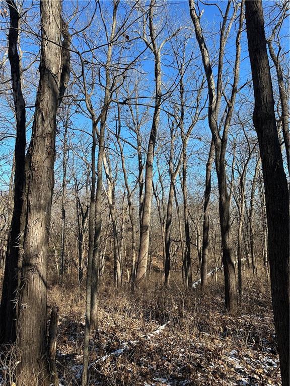 Helena, Missouri 64459, United States, ,Land,Active,254995