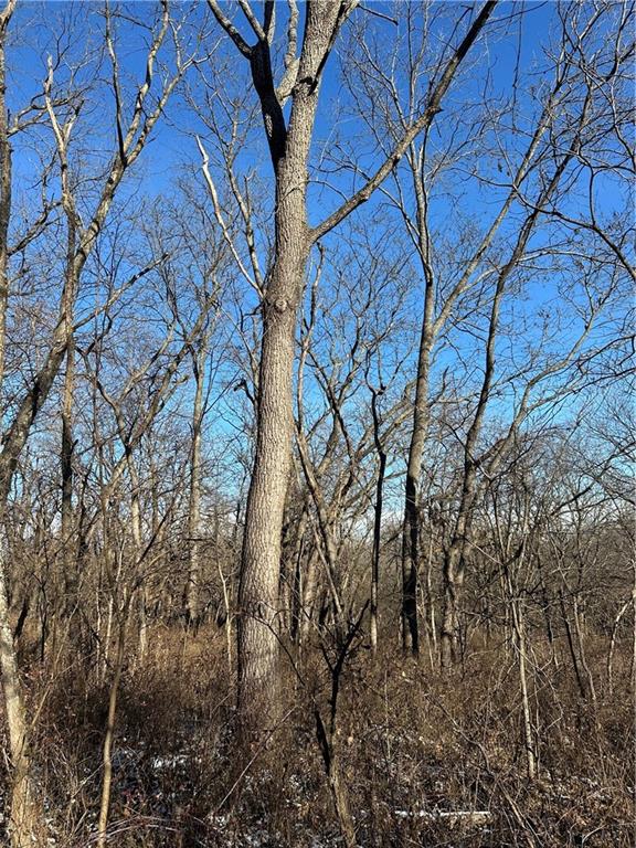 Helena, Missouri 64459, United States, ,Land,Active,254995