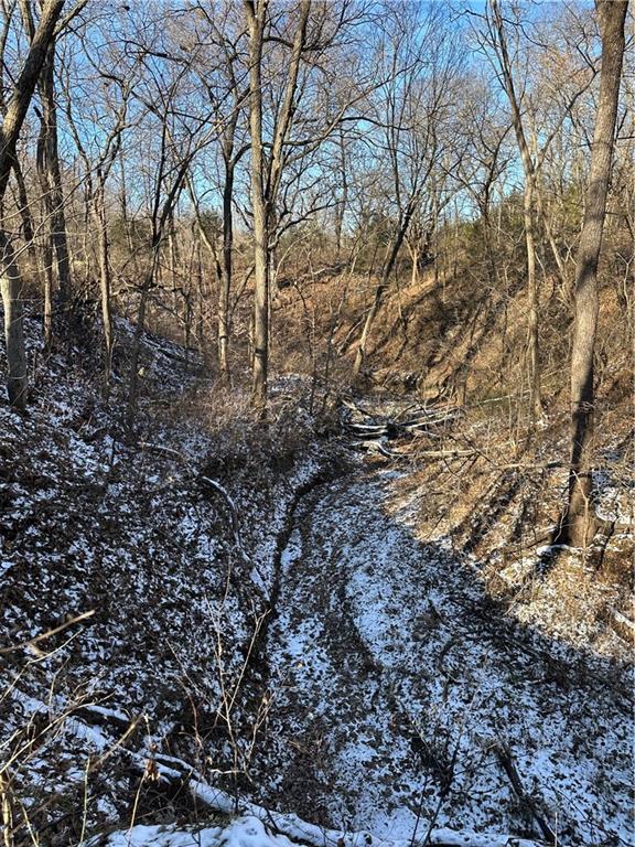 Helena, Missouri 64459, United States, ,Land,Active,254995