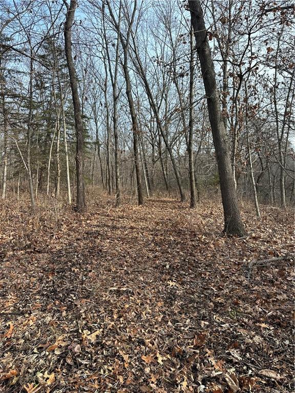 Helena, Missouri 64459, United States, ,Land,Active,254995