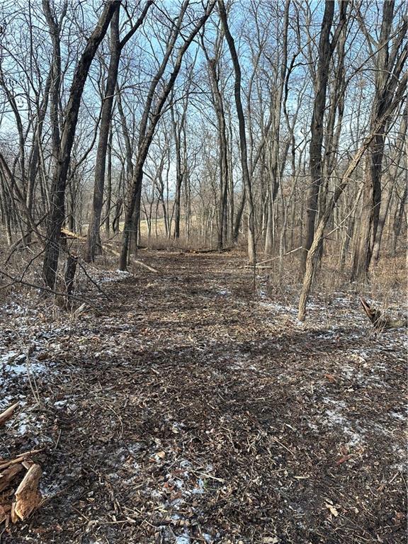 Helena, Missouri 64459, United States, ,Land,Active,254995