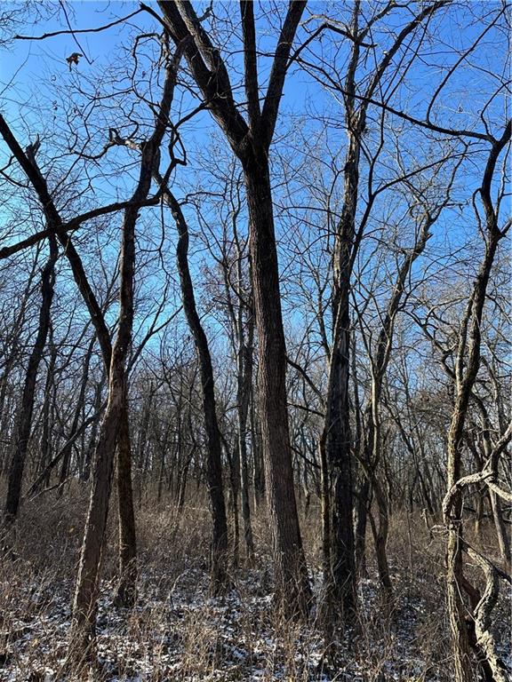 Helena, Missouri 64459, United States, ,Land,Active,254995