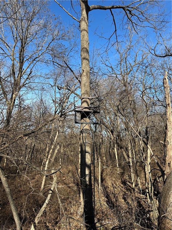 Helena, Missouri 64459, United States, ,Land,Active,254995