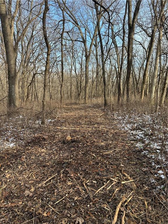 Helena, Missouri 64459, United States, ,Land,Active,254995