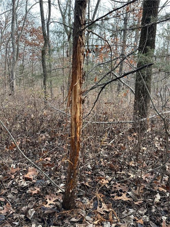 Helena, Missouri 64459, United States, ,Land,Active,254995