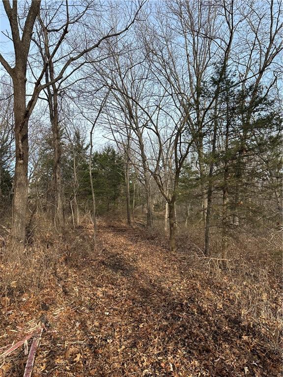 Helena, Missouri 64459, United States, ,Land,Active,254995