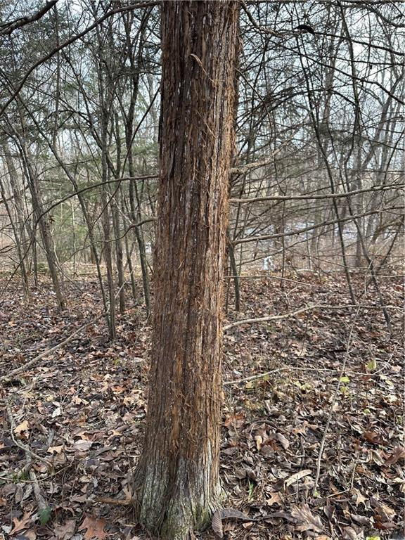 Helena, Missouri 64459, United States, ,Land,Active,254995