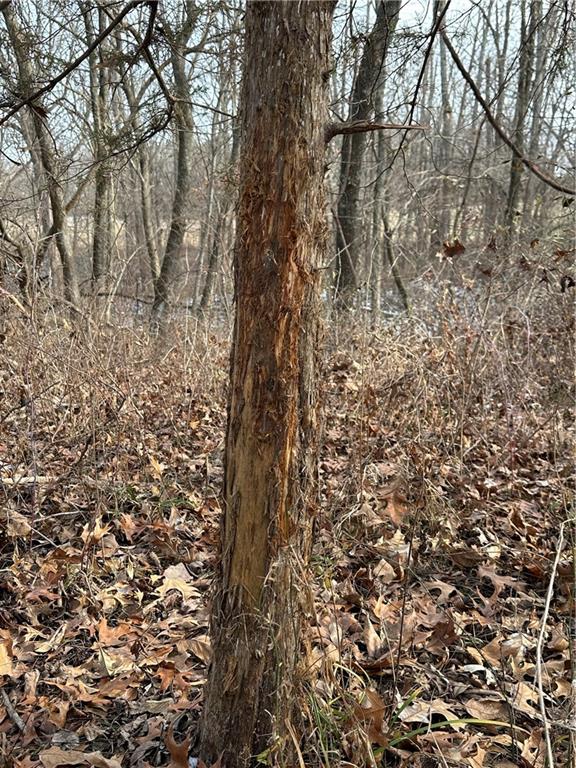 Helena, Missouri 64459, United States, ,Land,Active,254995