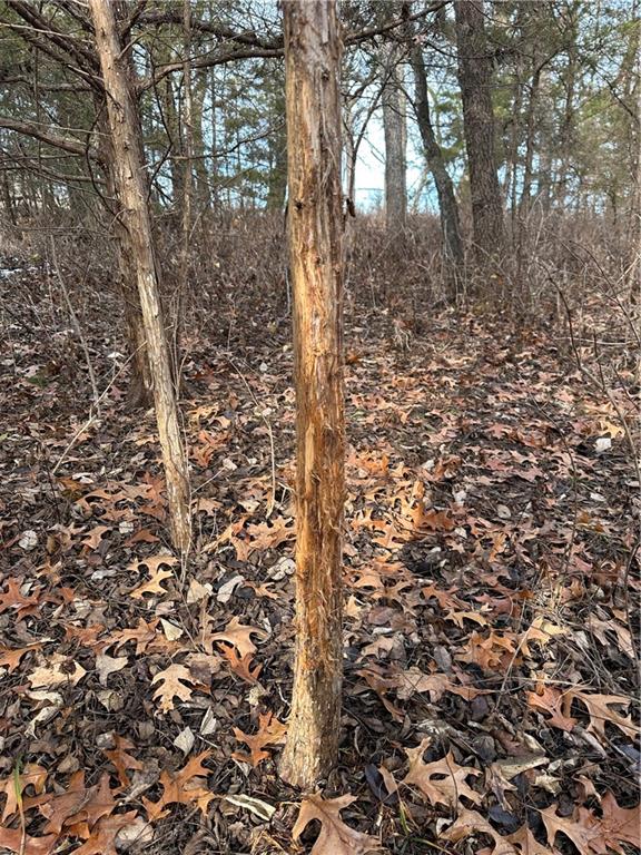 Helena, Missouri 64459, United States, ,Land,Active,254995