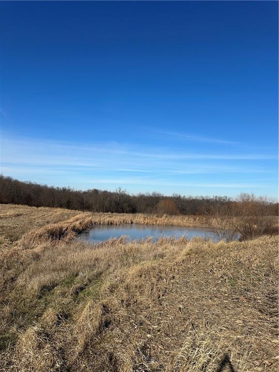 Helena, Missouri 64459, United States, ,Land,Active,254995