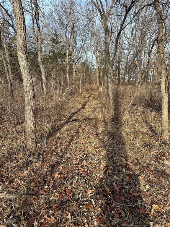 Helena, Missouri 64459, United States, ,Land,Active,254995