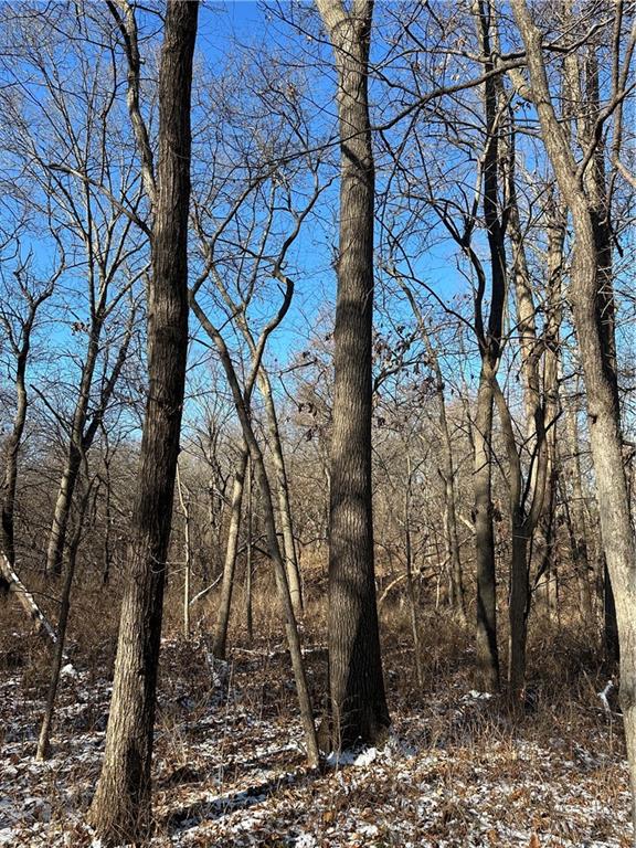 Helena, Missouri 64459, United States, ,Land,Active,254995