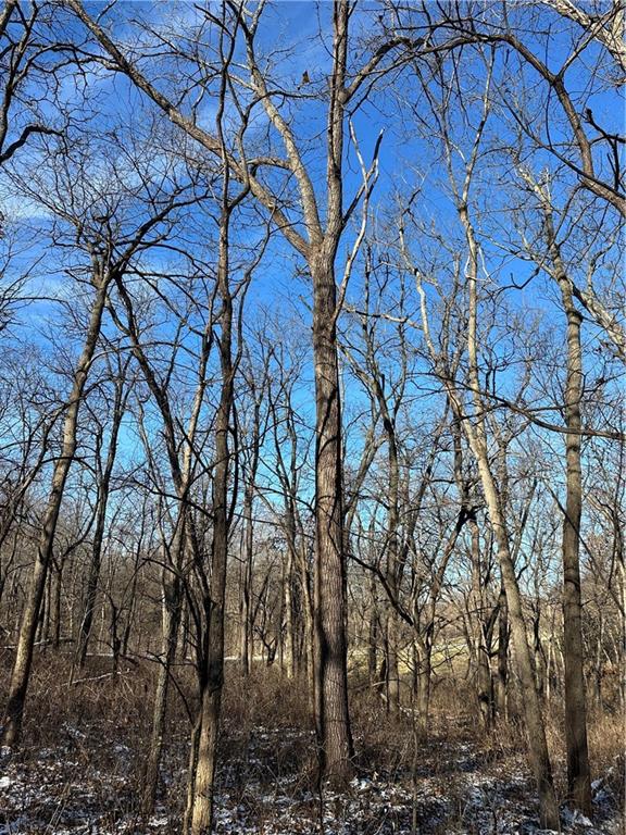 Helena, Missouri 64459, United States, ,Land,Active,254995