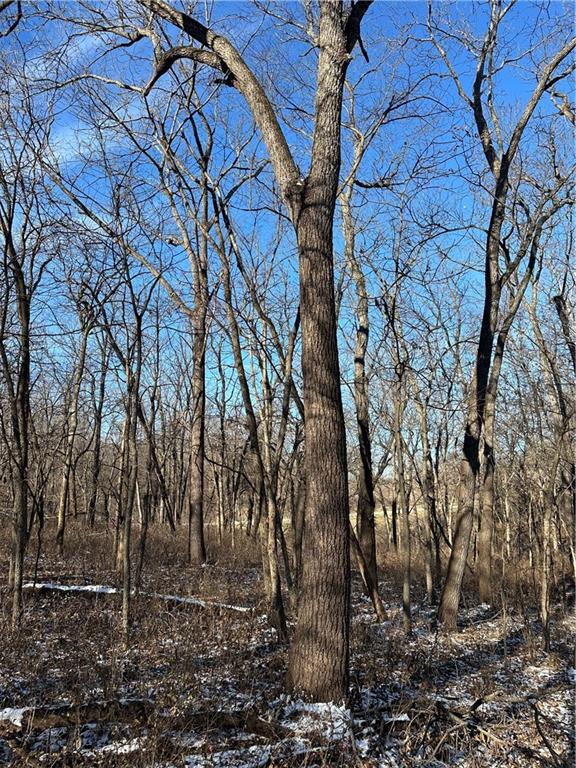 Helena, Missouri 64459, United States, ,Land,Active,254995