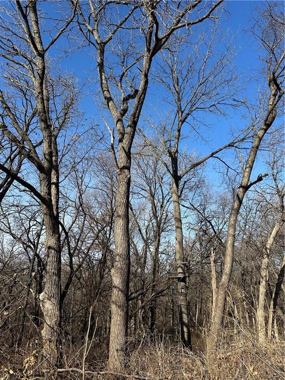 Helena, Missouri 64459, United States, ,Land,Active,254995