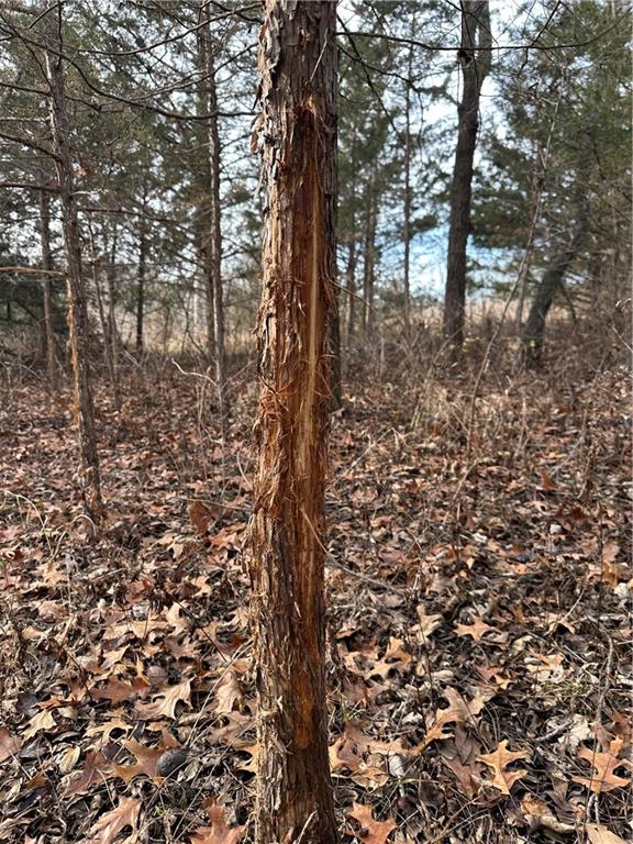 Helena, Missouri 64459, United States, ,Land,Active,254995