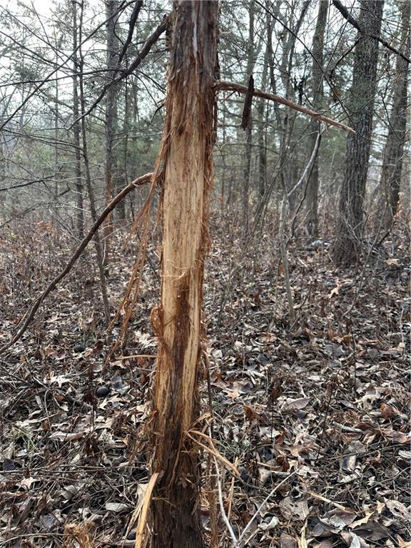 Helena, Missouri 64459, United States, ,Land,Active,254995