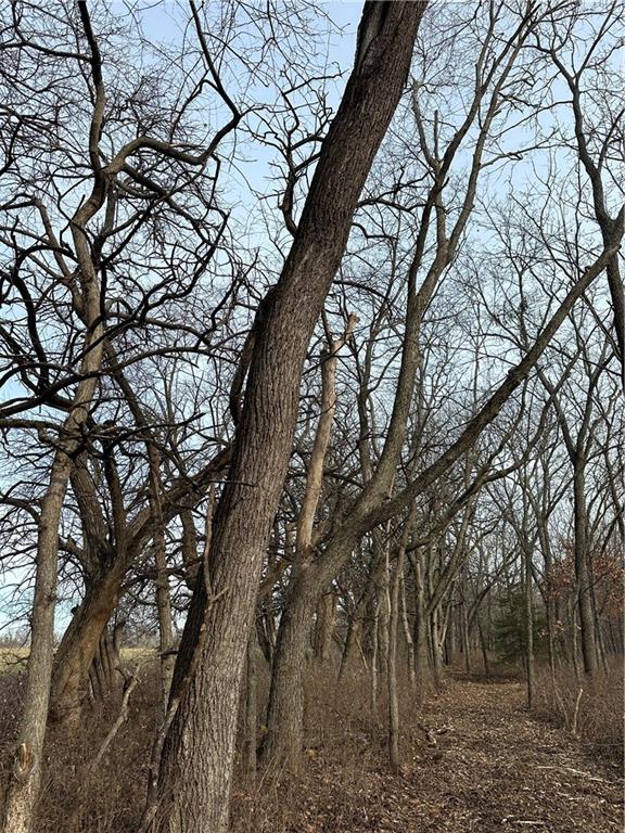 Helena, Missouri 64459, United States, ,Land,Active,254995