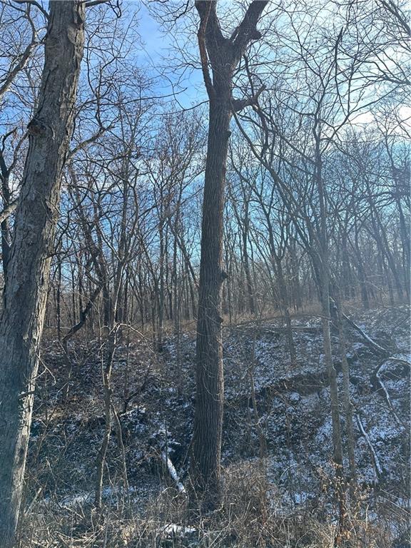 Helena, Missouri 64459, United States, ,Land,Active,254995