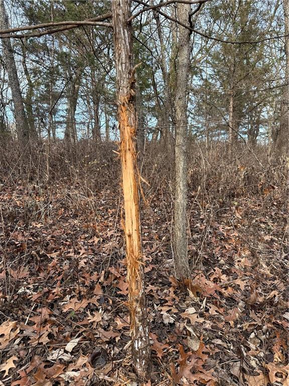 Helena, Missouri 64459, United States, ,Land,Active,254995