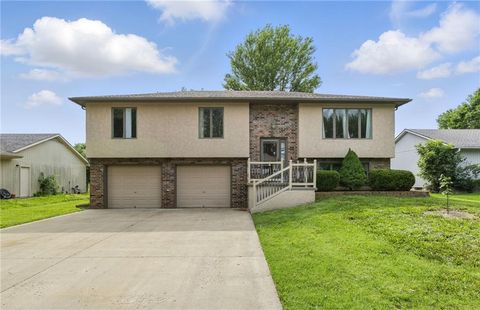 212 Sellman Street Warrensburg MO 64093