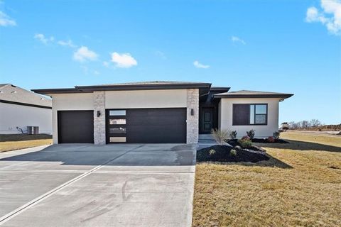 1227 Larkspur Place Raymore MO 64083