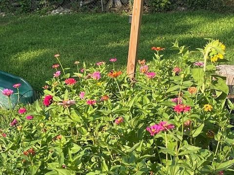 Tiny photo for 806 Galveston Drive, Liberty, MO 64068 (MLS # 2604768)