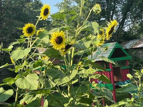 Tiny photo for 806 Galveston Drive, Liberty, MO 64068 (MLS # 2604768)