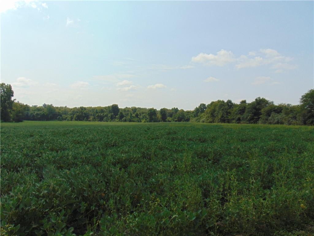 S Horn Road