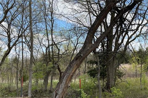 S Roosevelt Street Spring Hill KS 66083