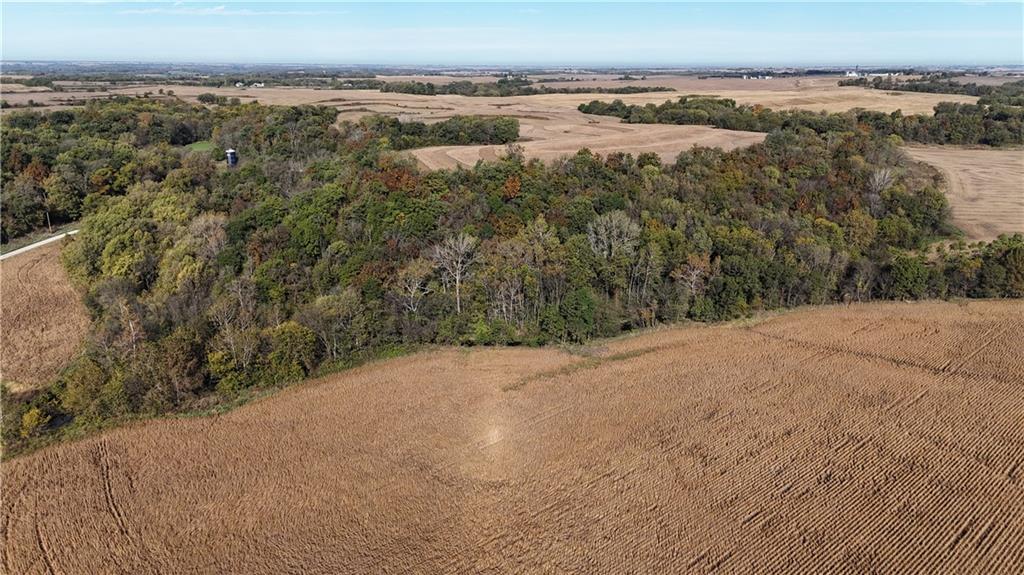 6471 CR 66 & 68 - Tract 2,3,4,5 & 8 Road