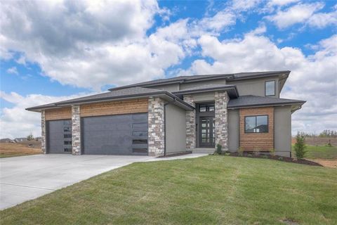 1009 Wilds Parkway, Greenwood, MO 64034 - #: 2510110