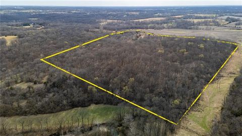 33784 - 2 W 168th Street, Lawson, MO 64062 - #: 2541661