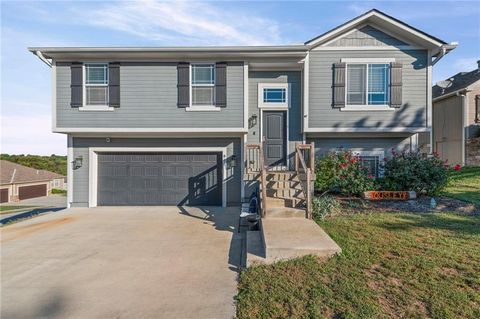 800 SW Hill Top Court Grain Valley MO 64029