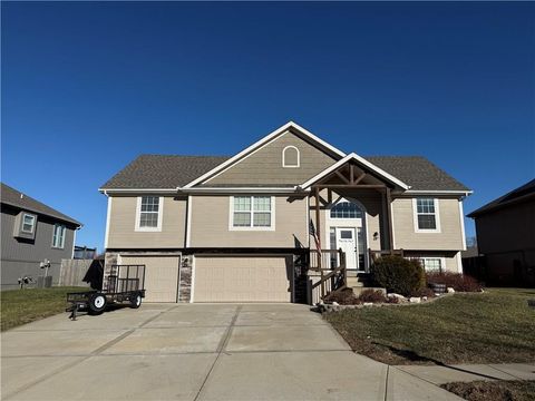 507 Tall Grass Drive Pleasant Hill MO 64080