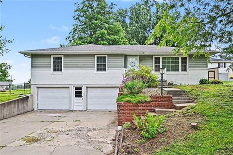 Photo of 1207 Safari Drive, St Joseph, MO 64506 (MLS # 2628018)