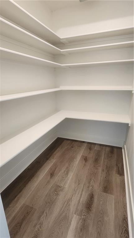 1816 Silverback Way